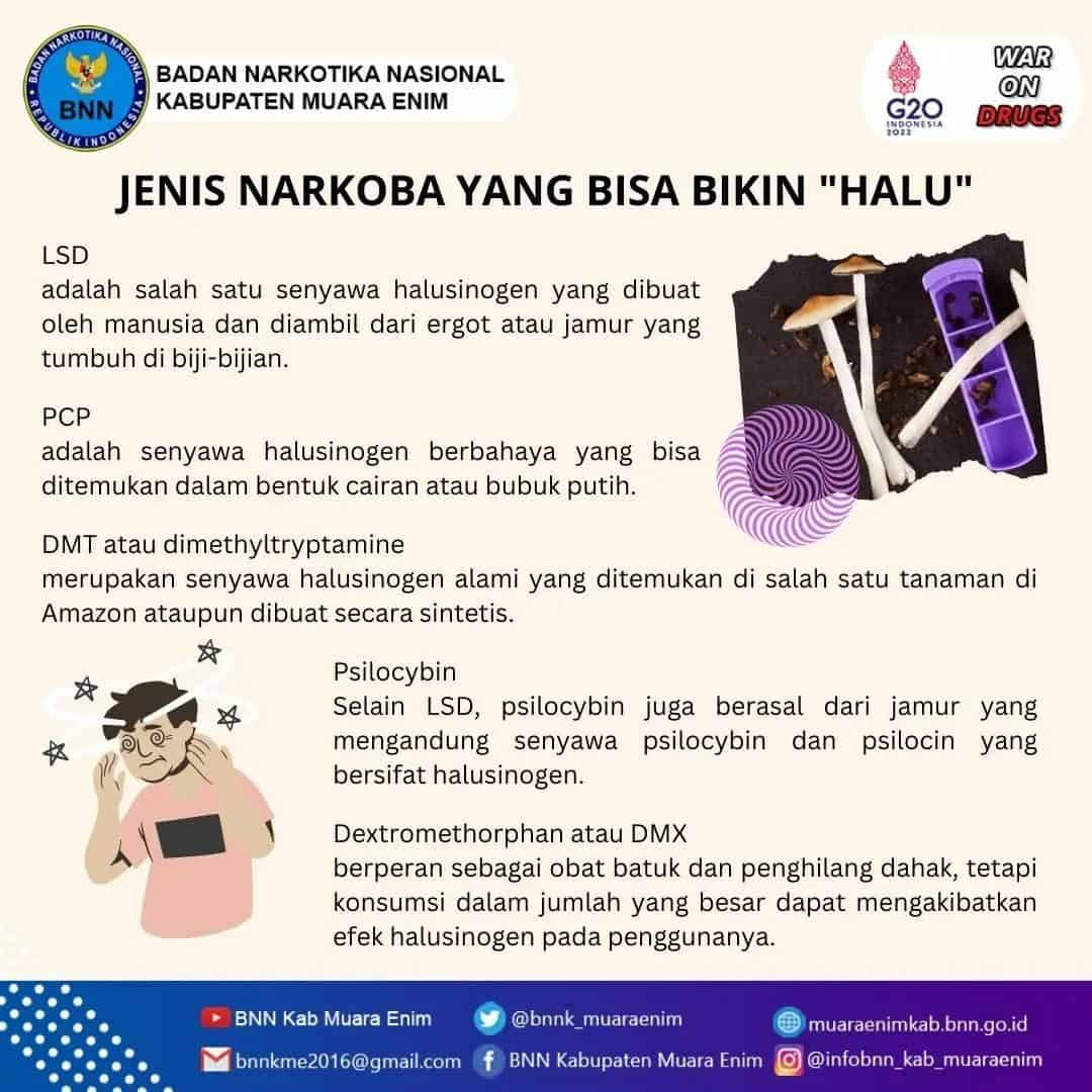Halo sahabat BNN! Yuk simak informasi berikut ini mengenai Jenis Narkoba yang bisa bikin "halu". Konsep Otomatis